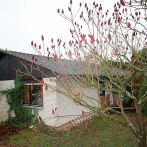 Freistehender Bungalow mit großem Garten und Garage in Neunkirchen-Seelscheid