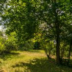 Einfamilienhaus mit Potenzial in Top-Lage von Siegburg-Wolsdorf