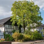 Außergewöhnliches Einfamilienhaus in Siegburg-Braschoss